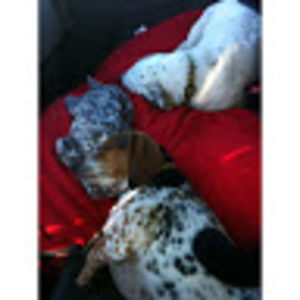 Meet your Posher, Mj